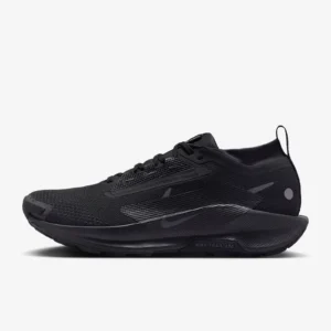 Nike Pegasus Trail 5 GORE-TEX